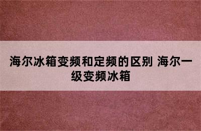 海尔冰箱变频和定频的区别 海尔一级变频冰箱